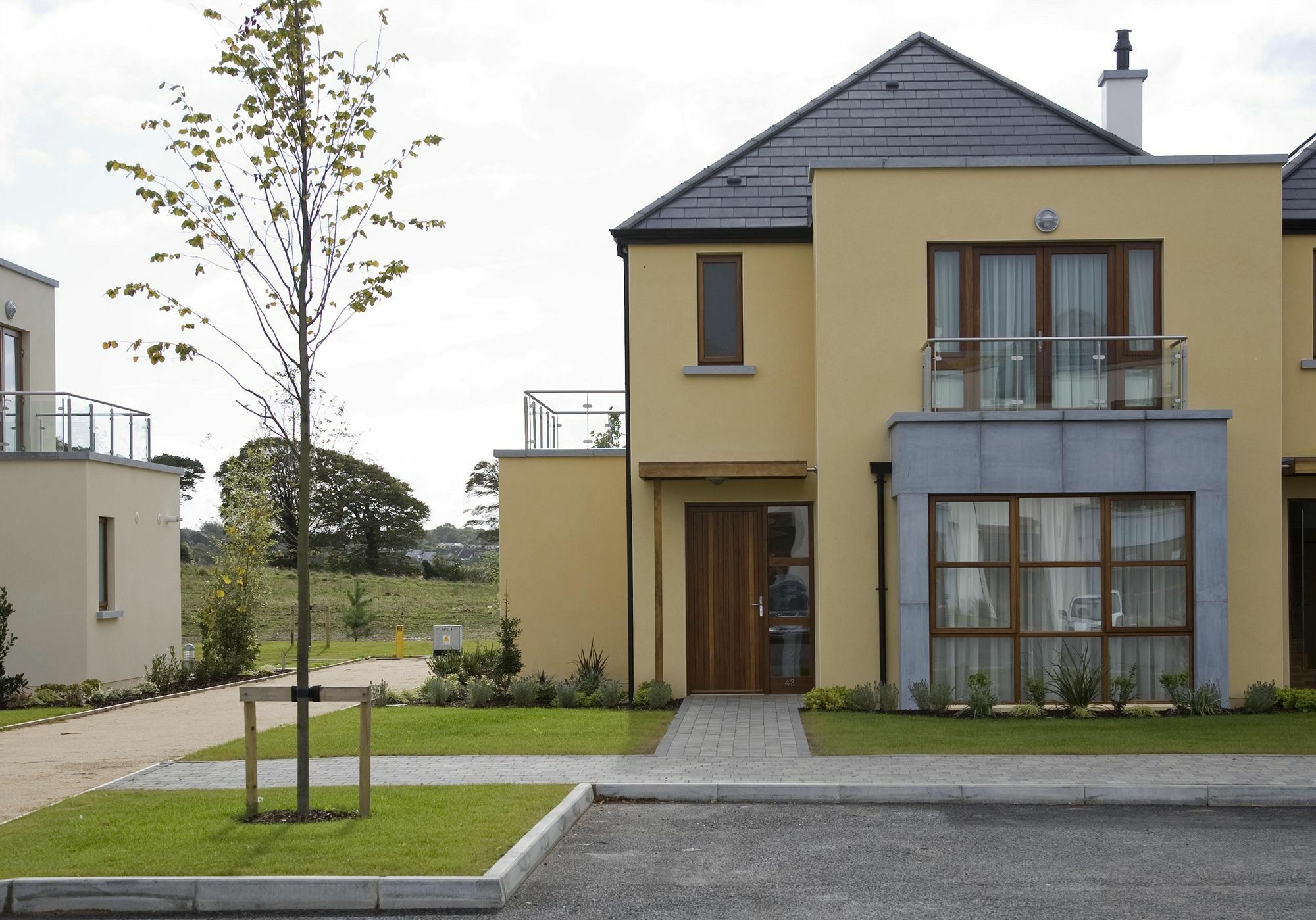Waterford Castle Hotel & Golf Resort Ballinakill  المظهر الخارجي الصورة