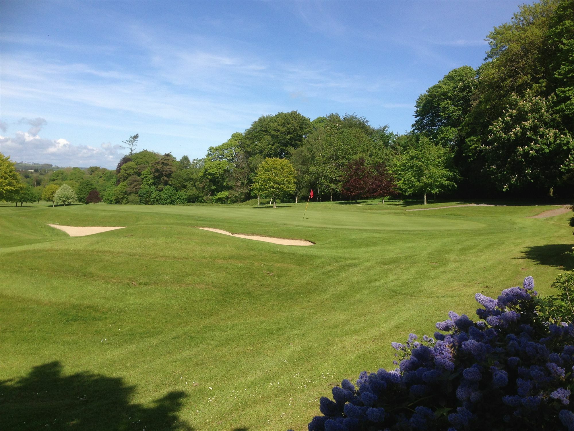 Waterford Castle Hotel & Golf Resort Ballinakill  المظهر الخارجي الصورة